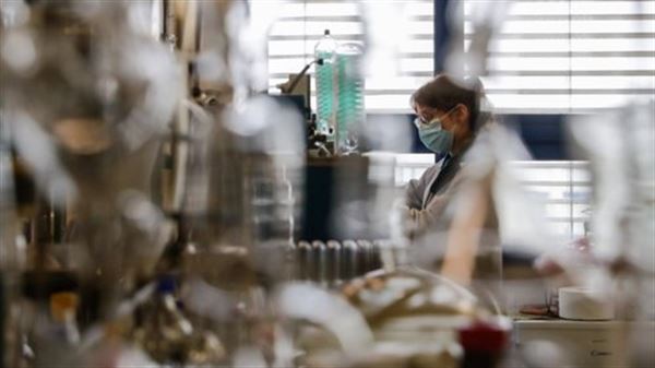 A Ciência em Portugal assenta na precariedade de investigadores que se dizem exaustos e sem perspetivas de futuro