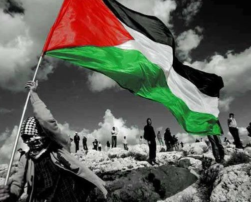 solidariedade palestina