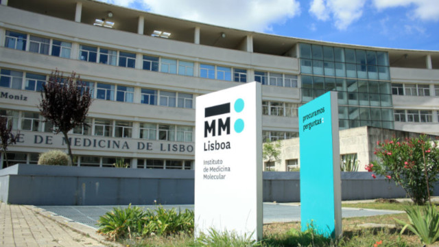 Instituto Medicina Molecular