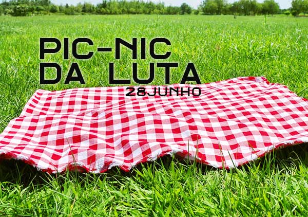 toalha picnic