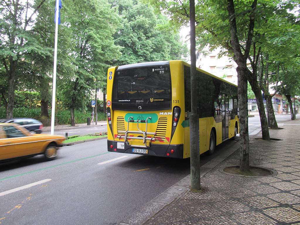 Viseu Berrelhas