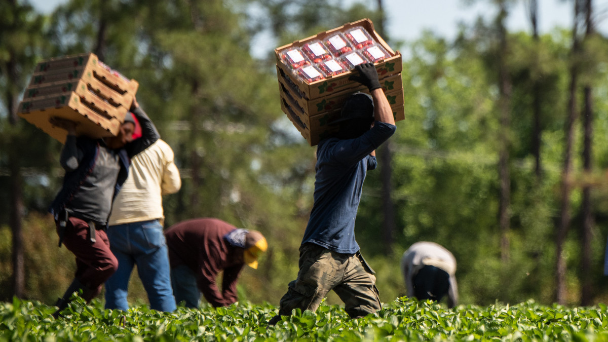 Trabalhadores imigrantes padecem com a falta de resposta das entidades publicas