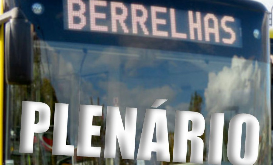 empresa Berrelhas