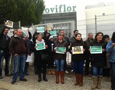 20131208moviflor