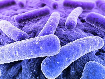 legionella