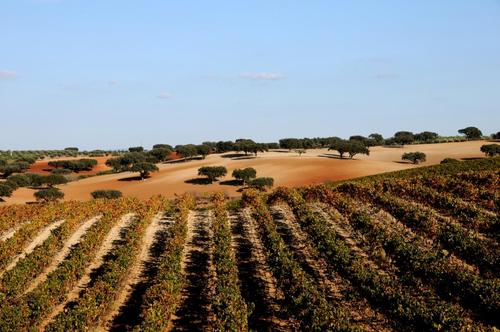 alentejo