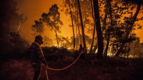 pedrogaro incendio