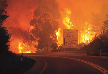 incendiopedrogao