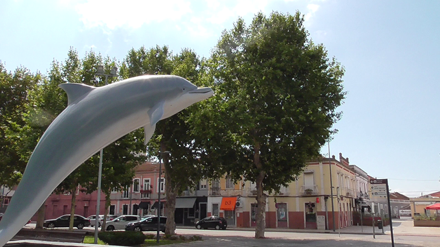 640px Setubal dolphin